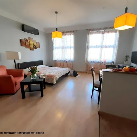 Apartment Amber